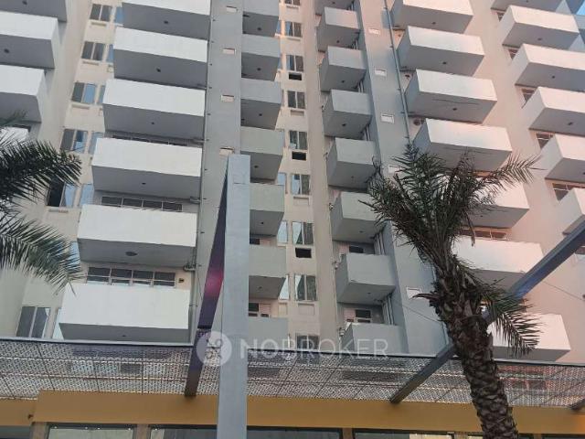 3 BHK Flat In Sarvome Shree Homes for Rent In Sector 45