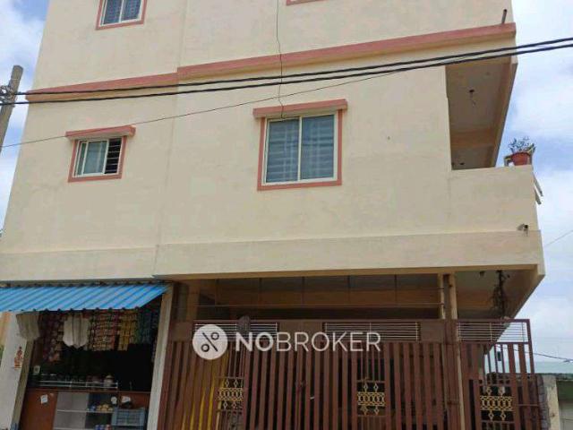 3 BHK Flat In Sb for Rent In Sector 52