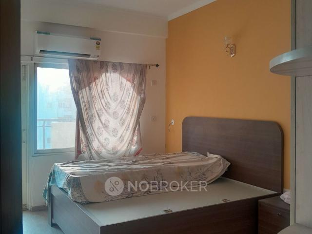 3 BHK Flat In Shanti Vihar for Rent In Sector 92