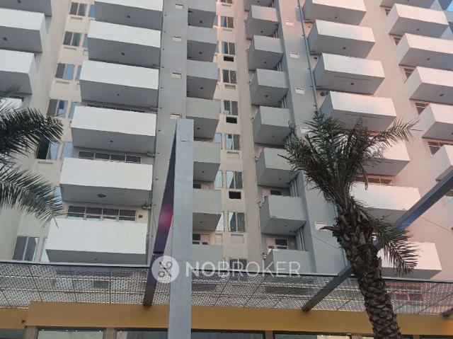 3 BHK Flat In Shree Homes By Sarvome for Rent In Sector 45