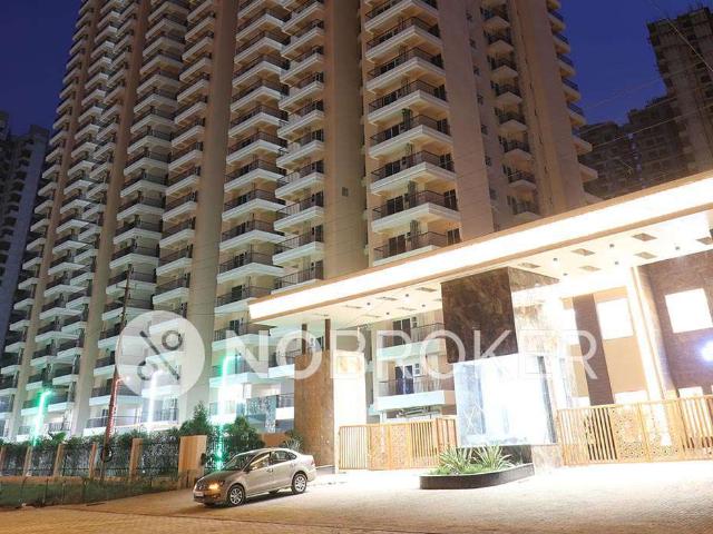 3 BHK Flat In Ska Greenarch Sector 16b for Rent In Sector 63b