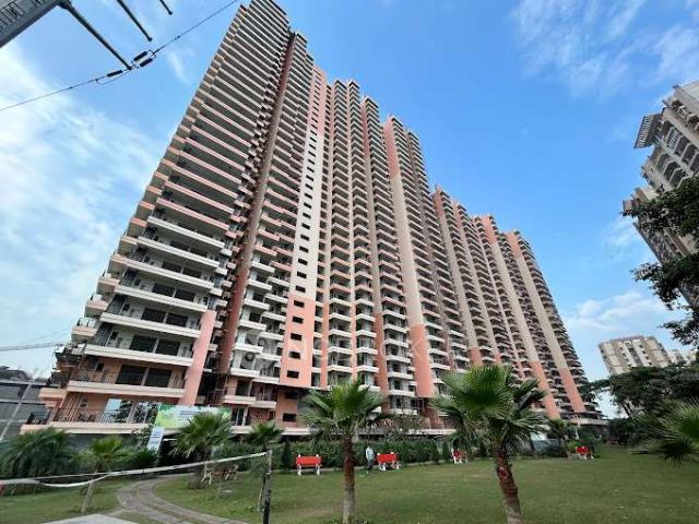 3 BHK Flat In Skardi Greens for Rent In Pandav Nagar
