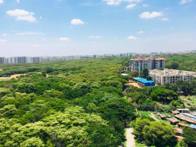 3 BHK Flat In Sobha Infinia For Sale In Koramangala