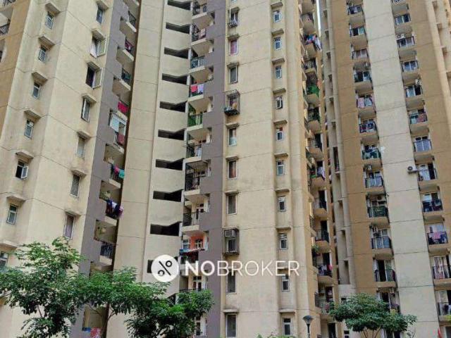 3 BHK Flat In Spring Meadows for Rent In Spring Meadows