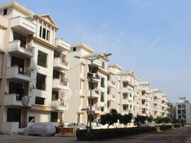 3 BHK Flat In Srs Pearl for Rent In Sector 87