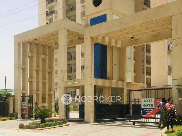 3 BHK Flat In Ssc Saphire Phase 1 for Rent In Scc Sapphire