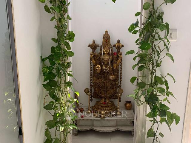 3 BHK Flat In Ssr Residency Suchitra Sarkil for Rent In Green Grandeur At Suchitra Circle
