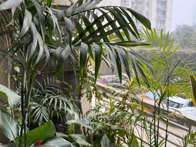 3 BHK Flat In Tulip Orange For Sale In Sector 70