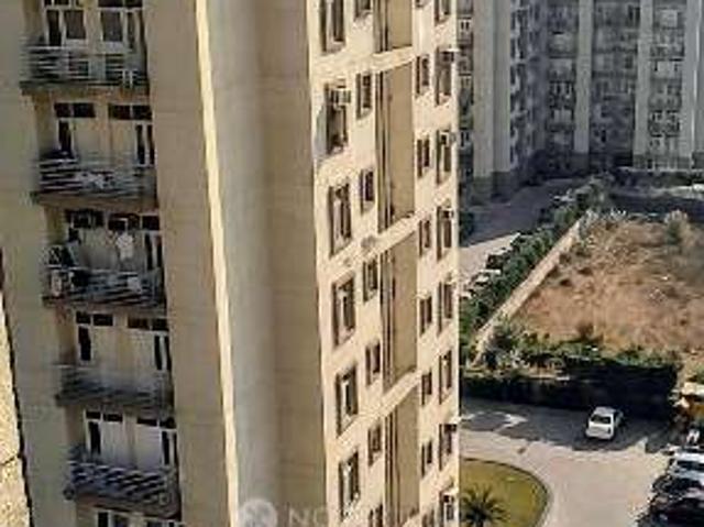 3 BHK Flat In Tulip Orange for Rent In Sector 70