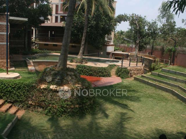 3 BHK Flat In T zed Homes for Rent In Tzed Homes