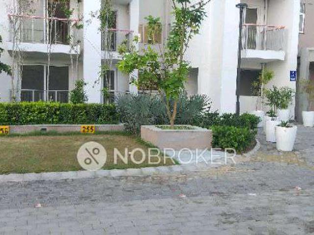 3 BHK Flat In Tata La Vida for Rent In Bajghera