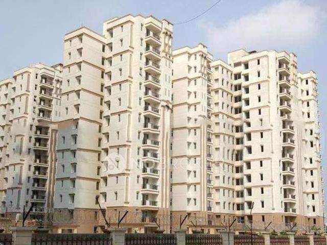 3 BHK Flat In The Atrium for Rent In Sector 37d