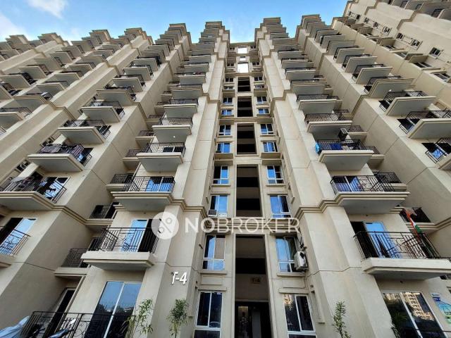 3 BHK Flat In The Millennia1 for Rent In Sector 37d