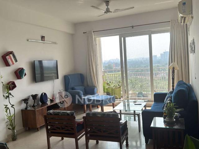 3 BHK Flat In Umang Winter Hills for Rent In Sector 77
