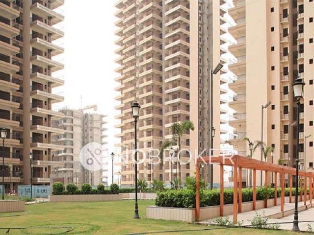 3 BHK Flat In 16th Park View for Rent In Gaur Yamuna City