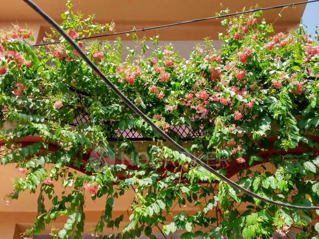 3 BHK House For Sale In Friends Colony Old Faridabad