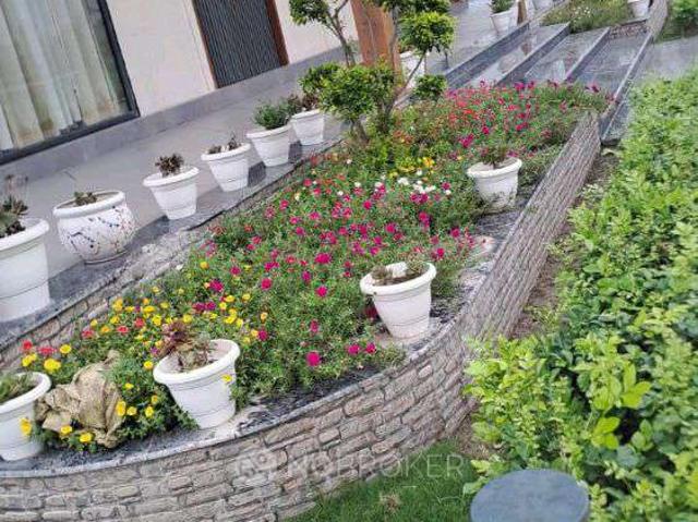 3 BHK House For Sale In Sector 144