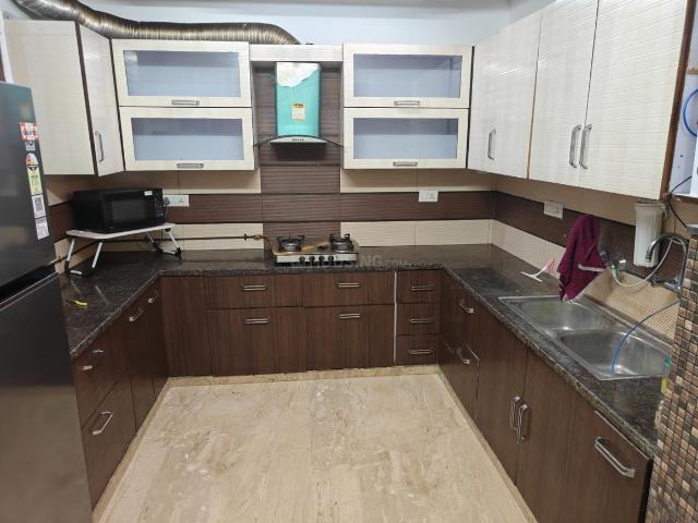 3 BHK Independent Builder Floor in Model Town for rent New Delhi. The reference number is 21130992