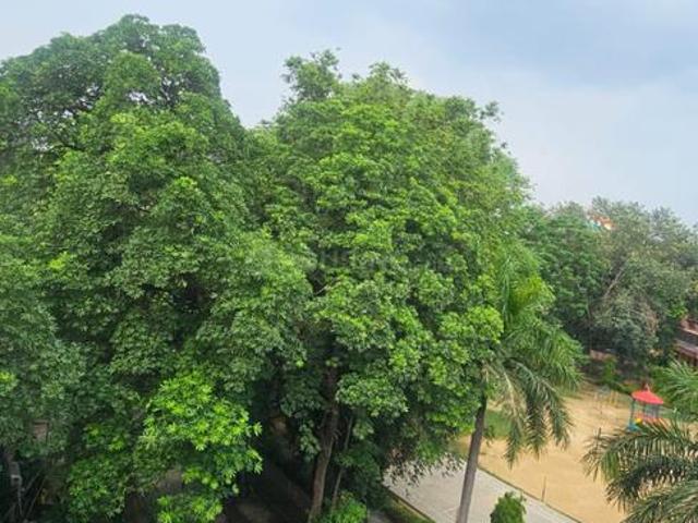 3 BHK Independent Builder Floor in New Rajinder Nagar for rent New Delhi. The reference number is 21000058