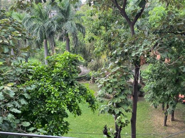 3 BHK Independent Builder Floor in New Rajinder Nagar for resale New Delhi. The reference number is 21309069