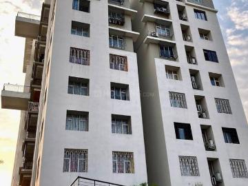 3 BHK Independent Builder Floor in Ashok Nagar for resale Kolkata. The reference number is 20267342