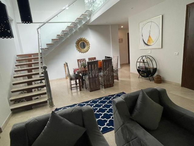 3 BHK Independent Builder Floor in DLF Phase 2 for resale Gurgaon. The reference number is 20488874
