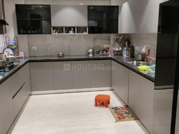3 BHK Independent Builder Floor in Greater Kailash II for rent New Delhi. The reference number is 20446368
