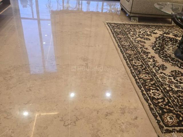 3 BHK Independent Builder Floor in Green Park Extension for rent New Delhi. The reference number is 17181138