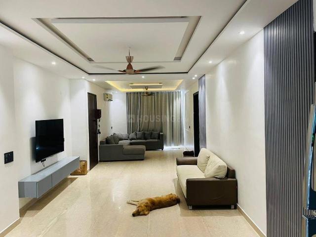 3 BHK Independent Builder Floor in Jamia Nagar for resale New Delhi. The reference number is 20253215
