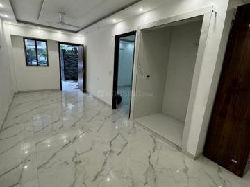 Ramesh Nagar, New Delhi, Delhi - Garden