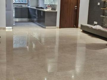 Sunder Vihar, New Delhi, Delhi - Garden