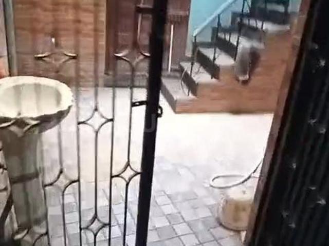 3 BHK Independent Builder Floor in Ram Nagar for rent Ayodhya. The reference number is 20337468