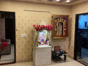Ramesh Nagar, New Delhi, Delhi - Garden