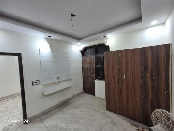 Ramesh Nagar, New Delhi, Delhi - Garden