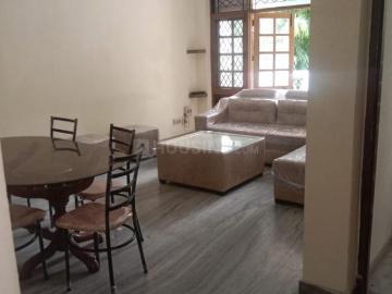 3 BHK Independent Builder Floor in Sector 43 for rent Gurgaon. The reference number is 15250384