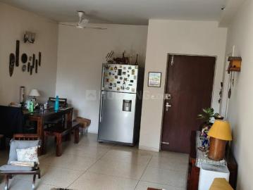 3 BHK Independent Builder Floor in Sector 43 for rent Gurgaon. The reference number is 17021994