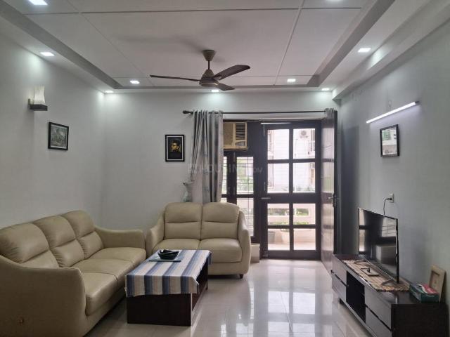 3 BHK Independent Builder Floor in Sector 43 for rent Gurgaon. The reference number is 20915828