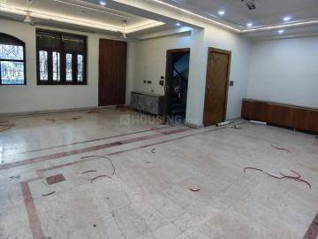 Sector-41 Noida, New Delhi, Delhi - Balcony