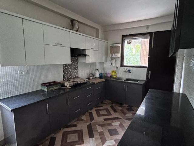 3 BHK Independent Builder Floor in Sector 48 for rent Gurgaon. The reference number is 20250039