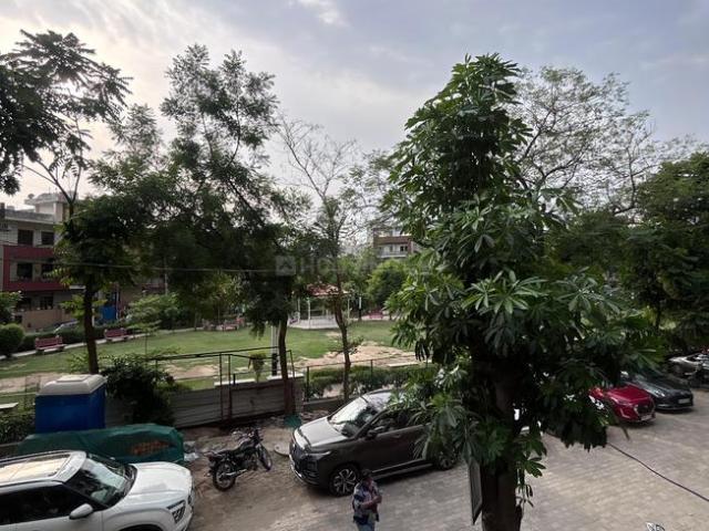 3 BHK Independent Builder Floor in Sector 48 for resale Gurgaon. The reference number is 20907319