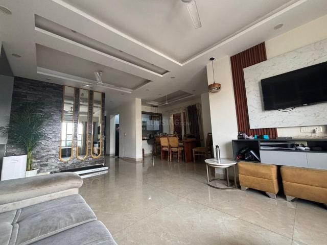 3 BHK Independent Builder Floor in Sector 57 for resale Gurgaon. The reference number is 21074513