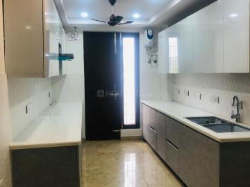 3 BHK Independent Builder Floor in Sector 55 for rent Gurgaon. The reference number is 20339957