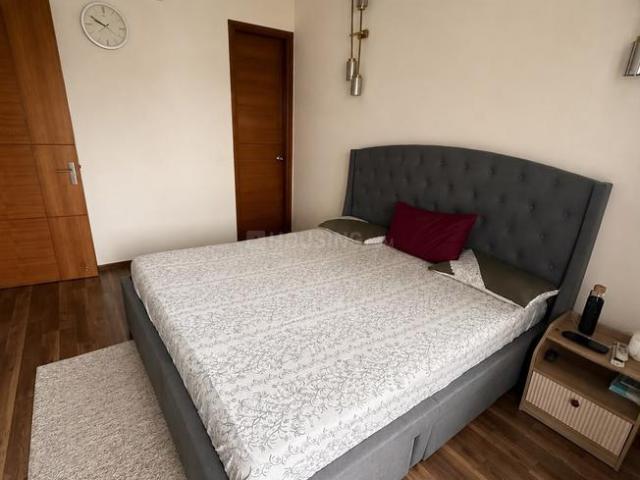 3 BHK Independent Builder Floor in Sector 63 for rent Gurgaon. The reference number is 20881485