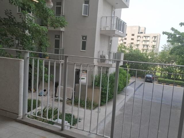 3 BHK Independent Builder Floor in Sector 67 for rent Gurgaon. The reference number is 20455251