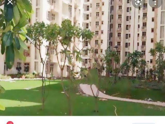 3 BHK Independent Builder Floor in Sector 67 for resale Gurgaon. The reference number is 19131318