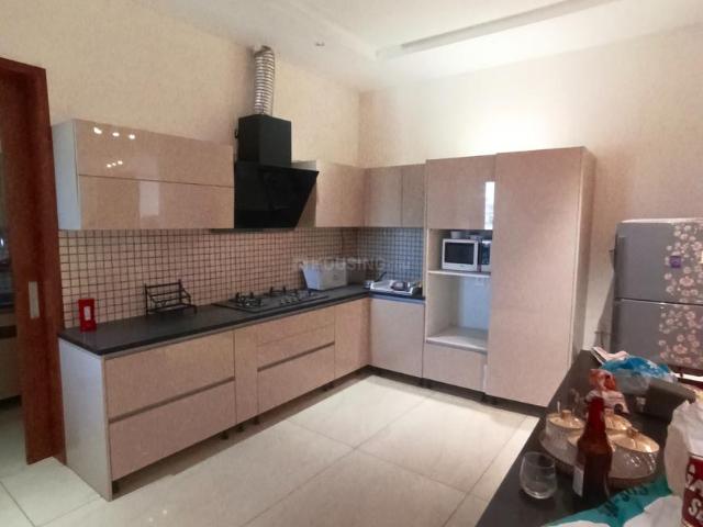 3 BHK Independent Builder Floor in Sector 79 for rent Mohali. The reference number is 20657352