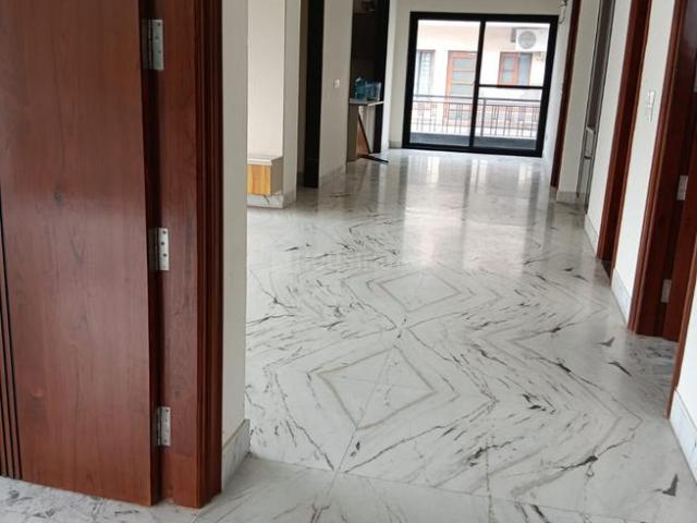 3 BHK Independent Builder Floor in Sector 79 for rent Mohali. The reference number is 20890942