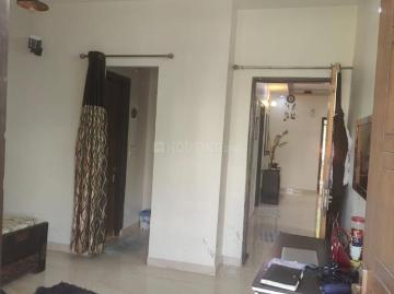 Sector-52 Faridabad, Faridabad, Gautam Buddha Nagar District, Delhi