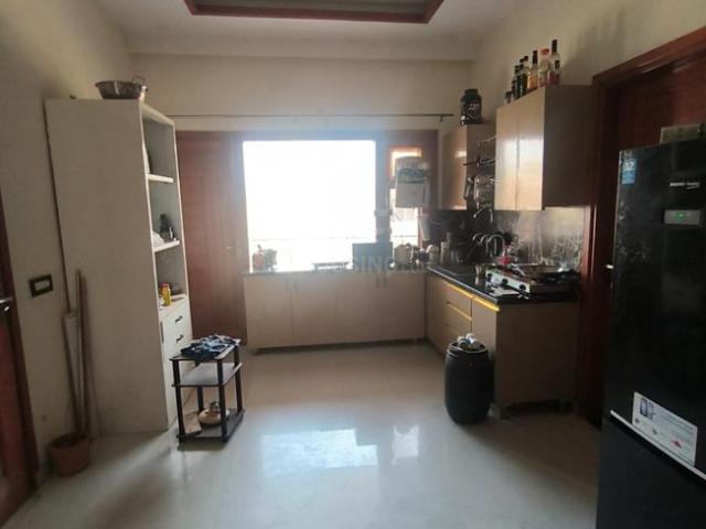 3 BHK Independent Builder Floor in Sector 86 for rent Mohali. The reference number is 20611046
