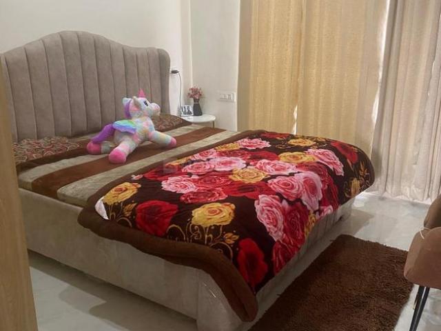 3 BHK Independent Builder Floor in Sector 91 for rent Mohali. The reference number is 19987703